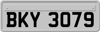 BKY3079