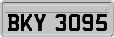 BKY3095