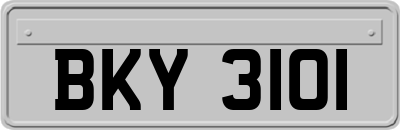BKY3101