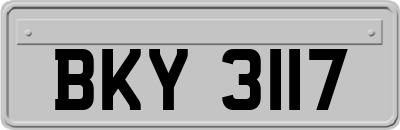 BKY3117