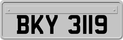 BKY3119