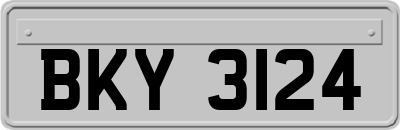 BKY3124