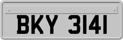 BKY3141