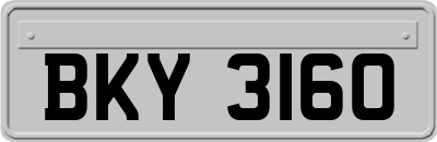 BKY3160