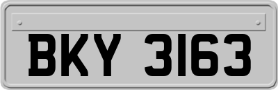 BKY3163