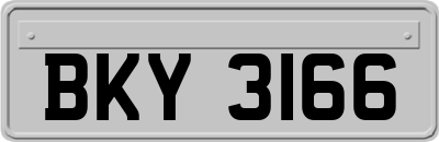 BKY3166