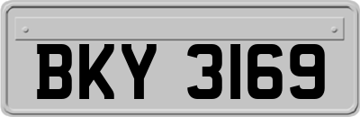 BKY3169