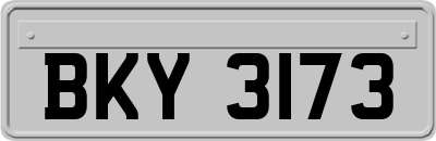BKY3173