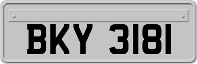 BKY3181