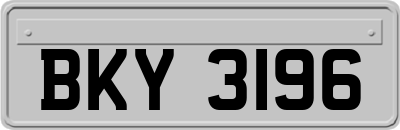 BKY3196
