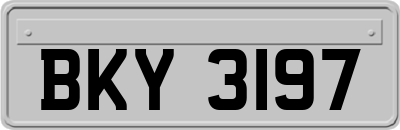 BKY3197