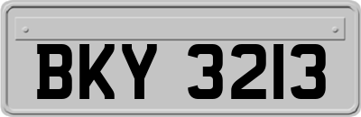 BKY3213