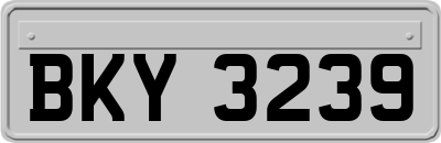 BKY3239
