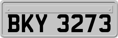 BKY3273