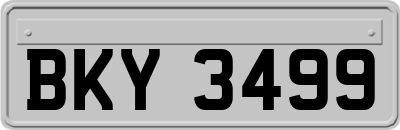 BKY3499