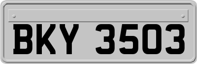 BKY3503