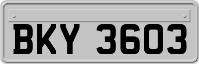 BKY3603