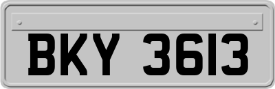 BKY3613
