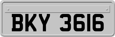 BKY3616