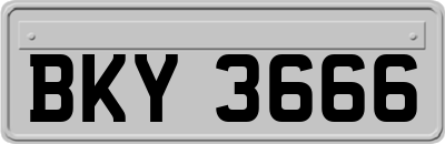 BKY3666