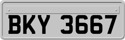 BKY3667