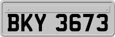 BKY3673