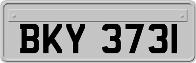 BKY3731