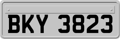 BKY3823