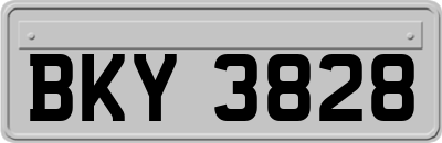 BKY3828