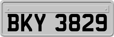 BKY3829