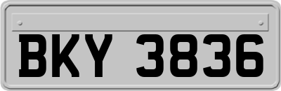 BKY3836