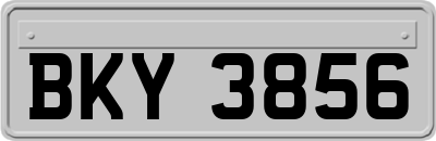 BKY3856