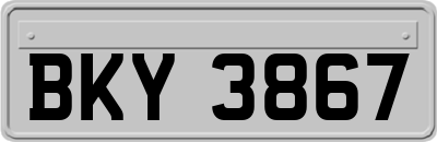BKY3867