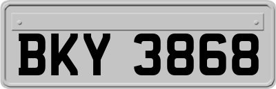 BKY3868
