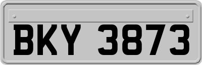 BKY3873