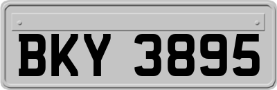 BKY3895