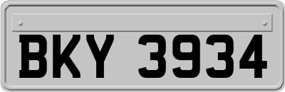 BKY3934