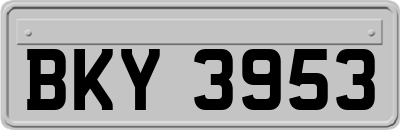 BKY3953
