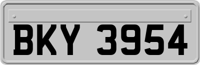 BKY3954