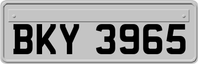 BKY3965