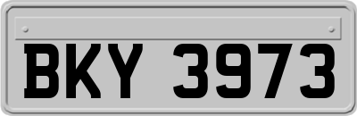 BKY3973