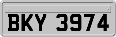 BKY3974