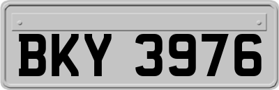 BKY3976