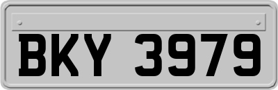 BKY3979