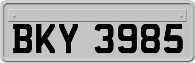 BKY3985