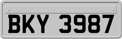 BKY3987