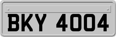 BKY4004