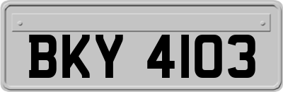 BKY4103