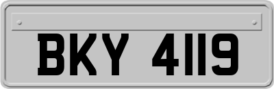 BKY4119
