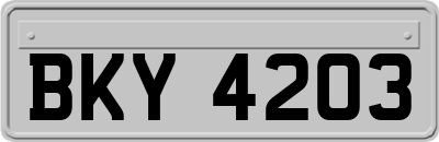 BKY4203